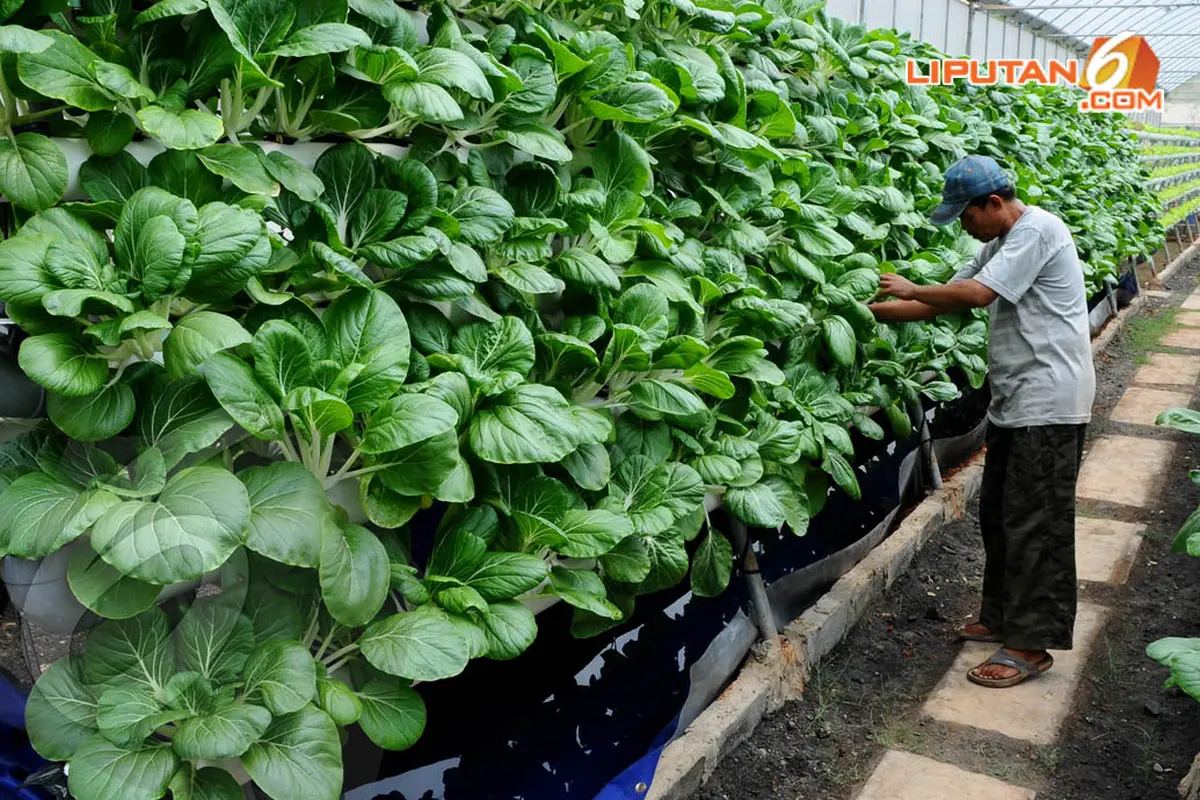 Green House Bikin Rusun Marunda Terlihat Asri
