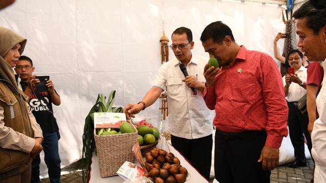 Mentan: Ekspor Memperkuat Merah Putih, Impor Melemahkan Petani Kita