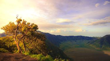 11 Wisata Gunung Di Jawa Timur Terpopuler Destinasi Wajib Para
