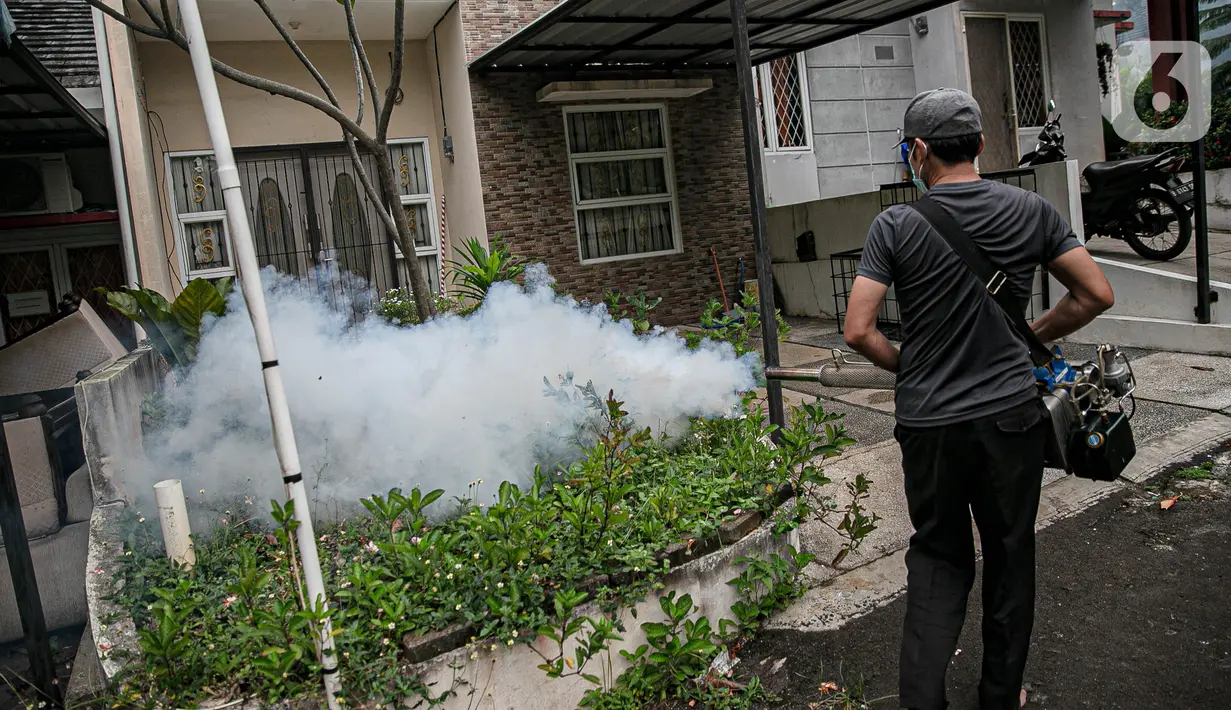 Seorang warga melakukan "fogging" atau pengasapan di perumahan Cinere Green Valley, Tangerang Selatan, Minggu (17/1/2021). Pengasapan untuk pencegahan penyakit Demam Berdarah Dengue (DBD) yang disebabkan gigitan nyamuk Aedes Aegypti terlebih sudah memasuki musim hujan. (Liputan6.com/Faizal Fanani)