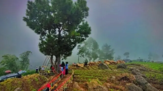 Taman Agrowisata Pattiroang
