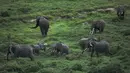 Sebuah keluarga gajah terlihat dari udara di Taman Nasional Amboseli, 21 Juni 2018. Taman nasional ini merupakan taman nasional paling populer kedua di Kenya setelah Cagar Nasional Maasai Mara. (AFP/TONY KARUMBA)