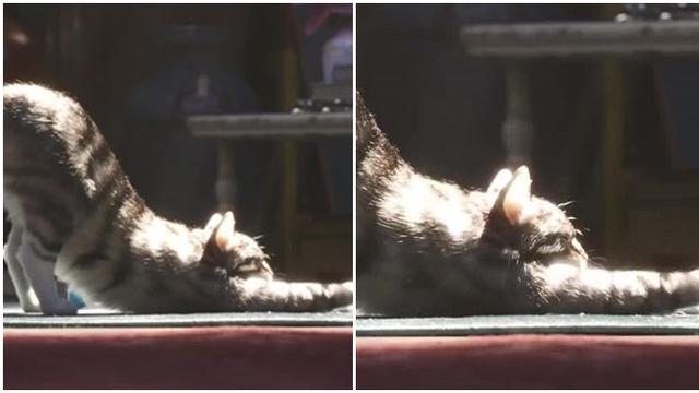 Dapat Pujian Karena Editannya, Ini 6 Potret Bukti Detailnya Kartun Film Toy Story