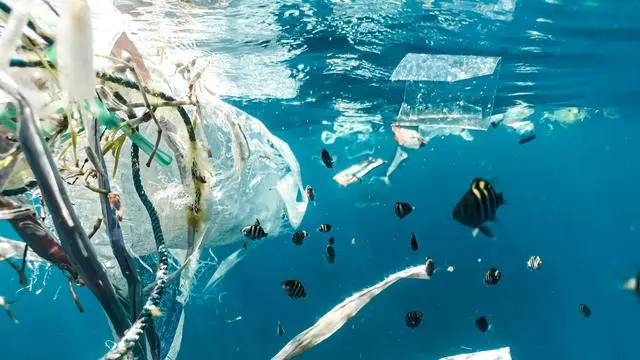 Sampah Plastik