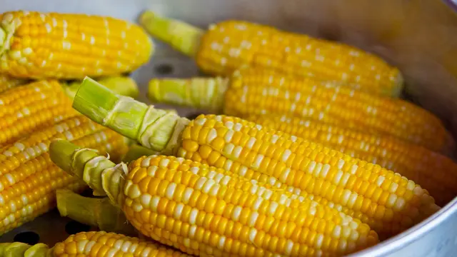 Ilustrasi Jagung bahan dasar Kapusu (Foto: keem1201/pixabay.com)