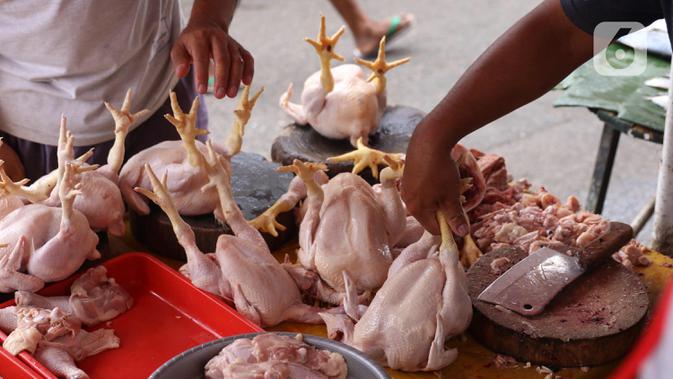 Meski Harga Meroket Permintaan Ayam Di Tulungagung Makin Tinggi Surabaya Liputan6 