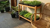 Model Kebun Sayur Mini Hidroponik Sederhana di Teras Rumah (Foto: AI)