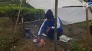 Seorang warga membuat makanan di tenda pengungsian di perkebunan teh di Cialahab, Desa Melasari, Nanggung, Bogor, Rabu (24/1). Mereka mengungsi karena takut terjadi gempa susulan. (Liputan6.com/Ahmad Sudarno)
