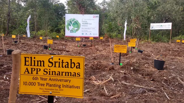 10.000 bibit pohon lokal dan berbagai pohon buah-buahan lokal di area seluas 20 ha di Desa Teluk Rimba, Kecamatan Koto Gasib, Kabupaten Siak, Riau ditanam Sinar Mas