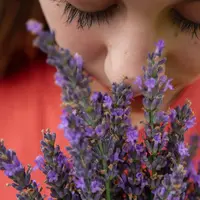 Ilustrasi mencium bau/Copyrigh unsplash/Elly Johnson&nbsp;