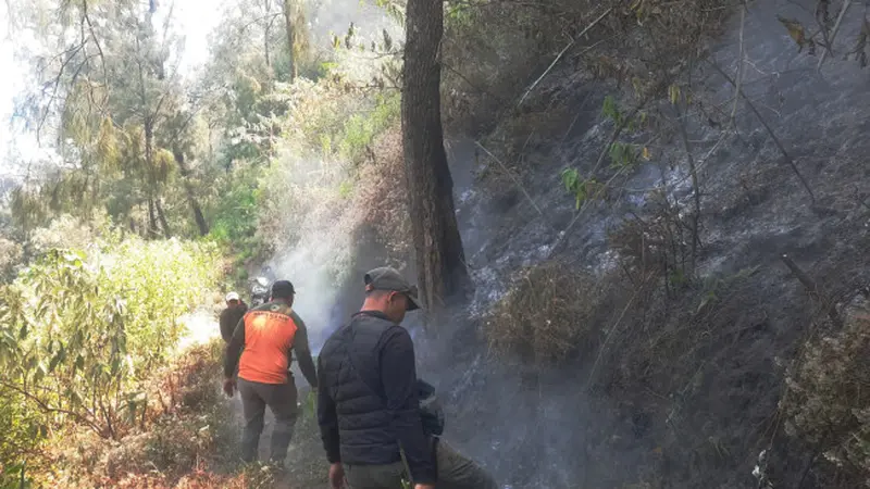 Blok Pusung Buntung di Kawasan Bromo Semeru Terbakar