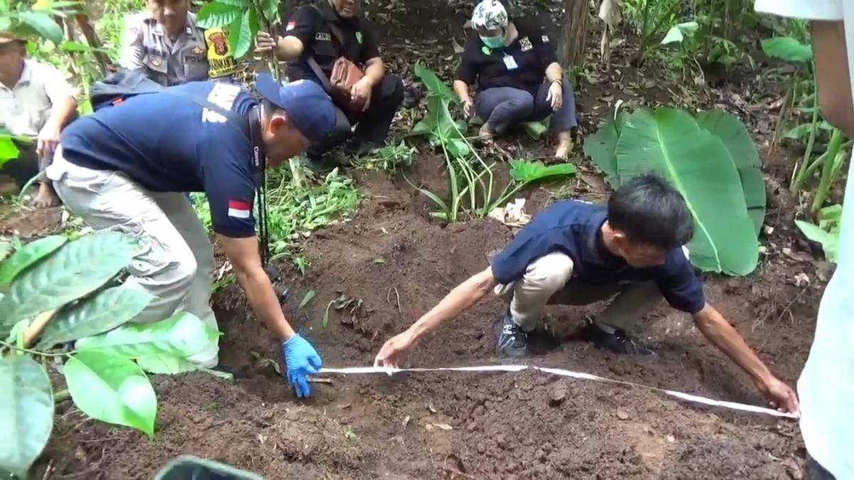 Apa Itu Ekshumasi? Memahami Proses Penggalian Jenazah untuk Mengungkap Fakta Kematian