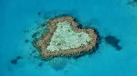 Heart Reef, Gugusan karang berbentuk hati yang sering dijadikan tempat untuk menyatakan cinta. (Foto: Livescience.com)