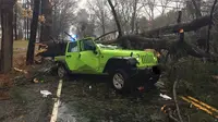 Polisi Tewksbury memposting foto ini ke akun Twitter mereka, tentang sebuah pohon ambruk dan menimpa mobil jip yang parkir di bawahnya, 2 Maret 2018. (Tewksbury Police)