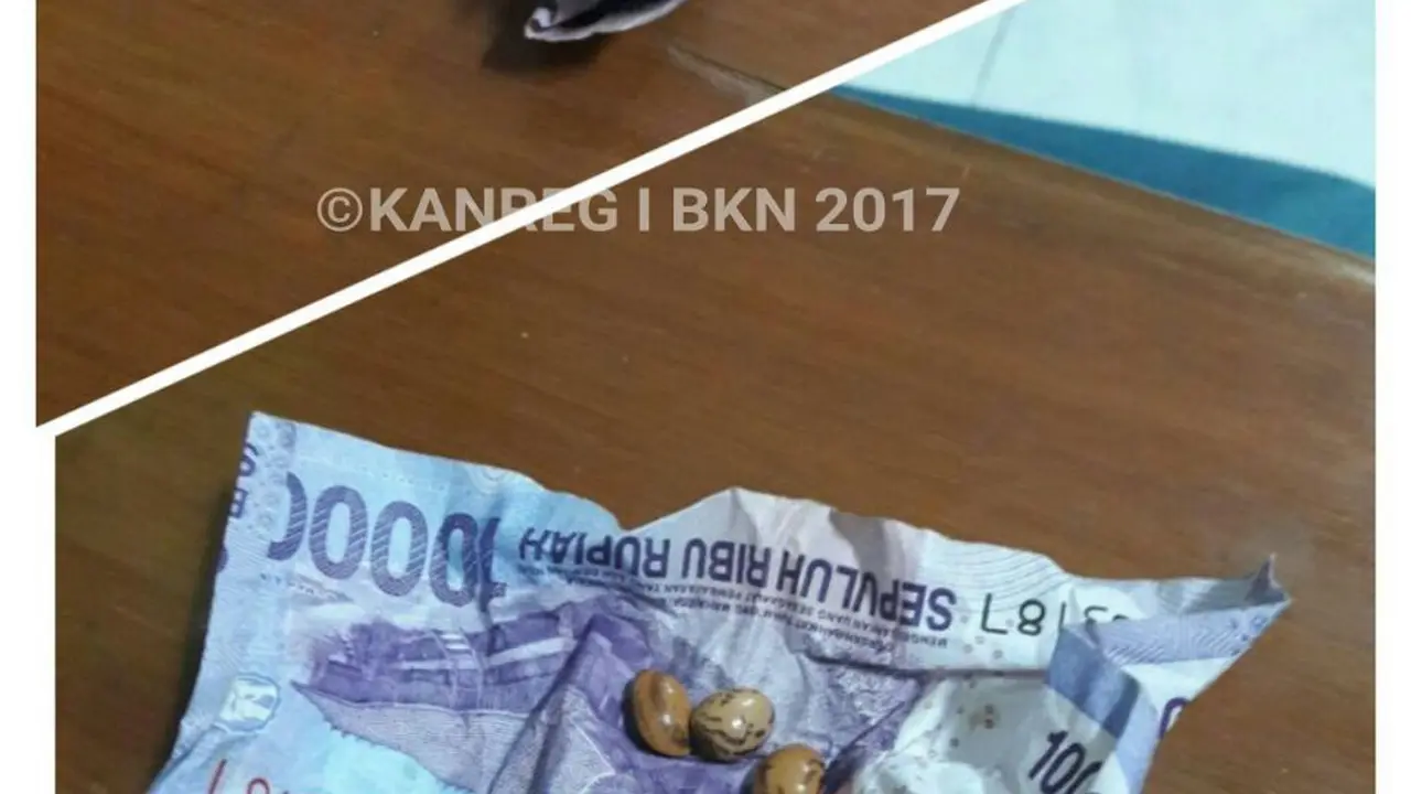 Gambar jimat peserta tes CPNS 2017. (Dok BKN)