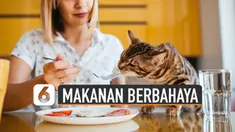 Makanan berikut dapat berbahaya bagi kesehatan bahkan nyawa kucing.