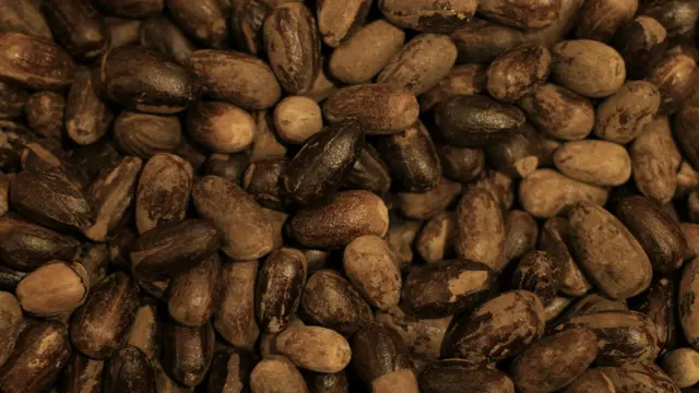 rempah
