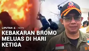 Kebakaran Bromo Meluas di Hari Ketiga
