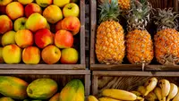 8 Pohon Buah Paling Menguntungkan untuk Dibudidayakan, Peluang Cuan Menjanjikan