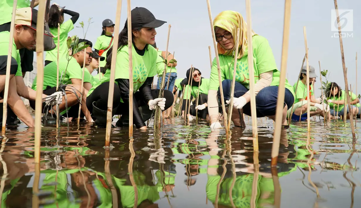 Karyawan PT Indofood Sukses Makmur Tbk menanam pohon bakau di Pesisir Merunda, Jakarta Utara, Sabtu (4/8). Kegiatan menanam 2000 batang pohon di pesisir Marunda bertajuk Bakau Untuk Jakarta. (Liputan6.com/HO/Eko)