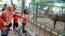 Warga melihat rusa di Kebun Binatang Ragunan, Jakarta, Minggu (27/12/2015). Ragunan masih menjadi tempat favorit untuk rekreasi bagi warga ibukota dan sekitarnya. (Liputan6.com/Helmi Afandi)