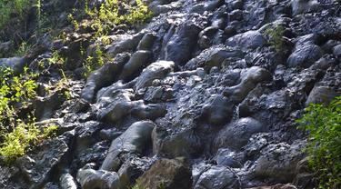 Watu Kenong, lava basal berusia 80 juta tahun, yang memantik legenda alunan gamelan mistis di Seboro, Sadang, Kebumen. (Foto: Liputan6.com/Muhamad Ridlo)