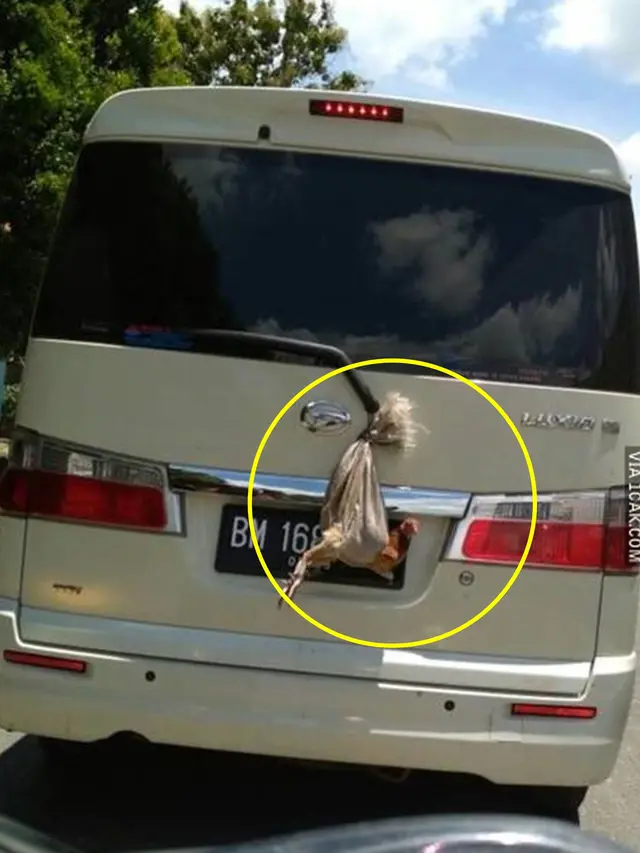 6 Kelakuan Nyeleneh saat Mengendarai Mobil Ini Bikin Tepuk Jidat
