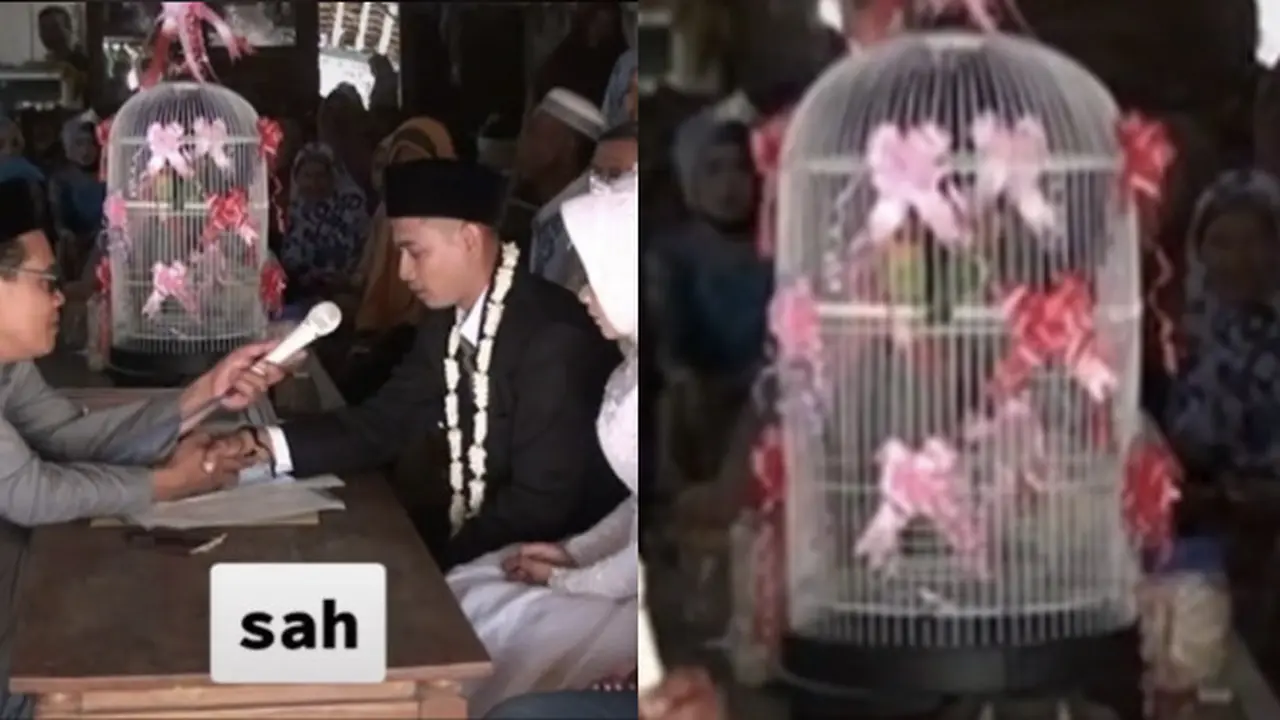 Viral Pasangan Ini Menikah Dengan Mahar Sepasang Burung Lovebird