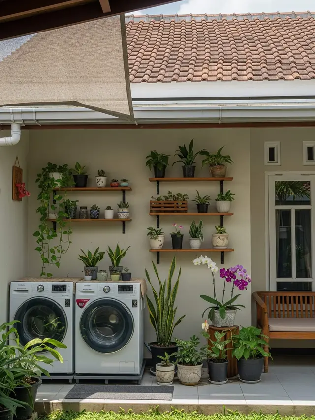 Contoh Rumah Sederhana 1 Lantai dengan Laundry Room Terbuka