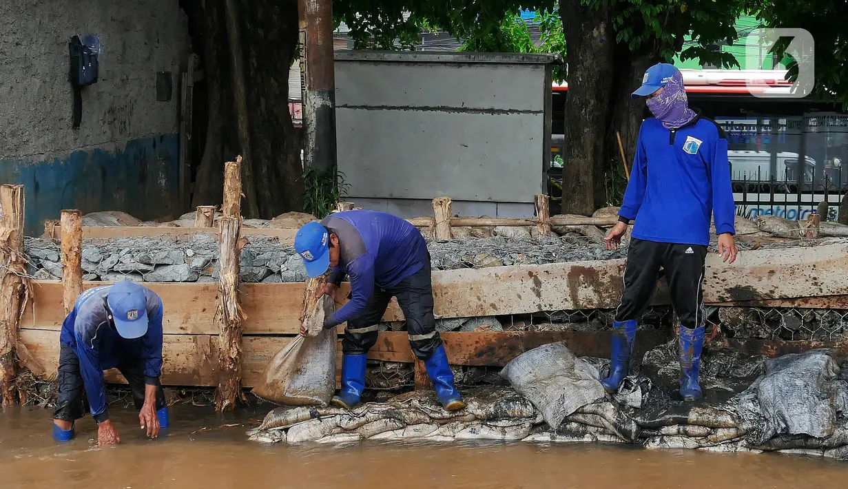 Petugas Dinas Sumber Daya Air melakukan perbaikan turap Kali Baru, Jakarta, Selasa (16/11/2021). Perbaikan turap sebagai antisipasi meluapnya aliran air yang menyebabkan banjir di kawasan tersebut. (Liputan6.com/Johan Tallo)
