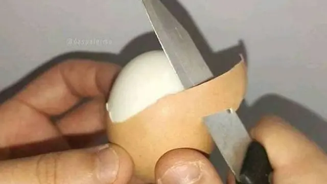 6 Potret Alat Dapur Beralih Fungsi Ini Bikin Geleng-Geleng Kepala