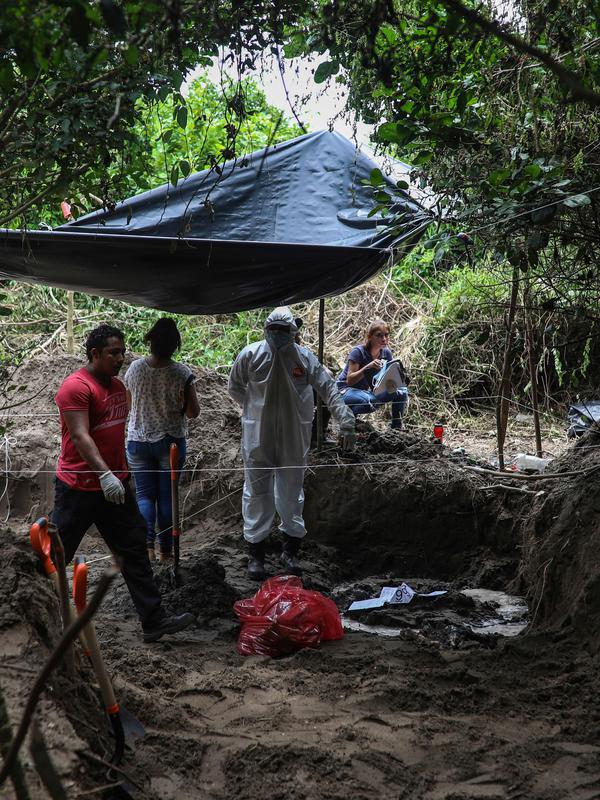 Peneliti melihat sisa-sisa manusia, yang ditempatkan di tas merah, di kuburan massal rahasia di negara bagian Veracruz, Meksiko, Jumat (7/9). Pada Maret 2017, penyelidik juga menemukan 253 tengkorak di sejumlah kuburan massal Veracruz. (AP/Felix Marquez)