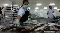 Pegawai Perum Perikanan Indonesia (Perindo) Unit Natuna, Kepulauan Riau, tengah mengolah ikan hasil tangkapan nelayan lokal.