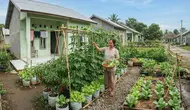 8 Ide Kebun Sayur untuk Rumah Subsidi Tanpa Menguras Anggaran, Bisa Petik Setiap Hari