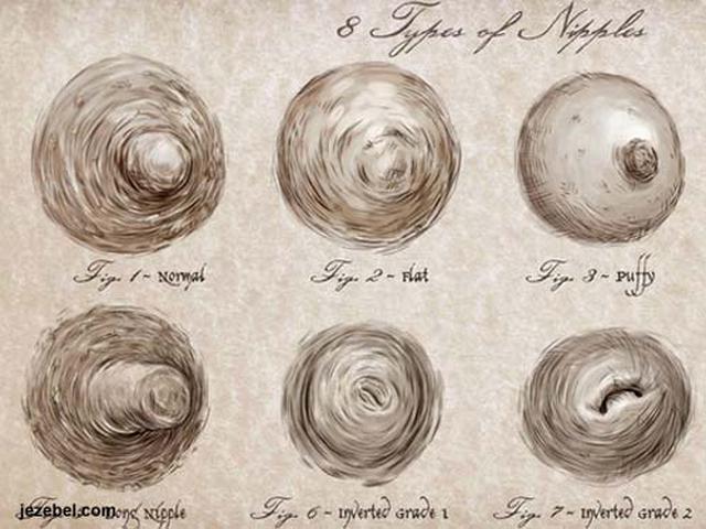 Aneka Ragam Bentuk Puting Payudara Health Liputan6 Com