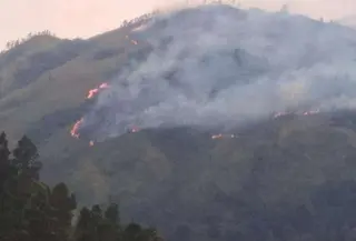 Kebakaran hutan dan lahan (karhutla) di kawasan Gunung Arjuno-Ringgit, Jawa Timur, terus meluas hingga mendekati permukiman warga.