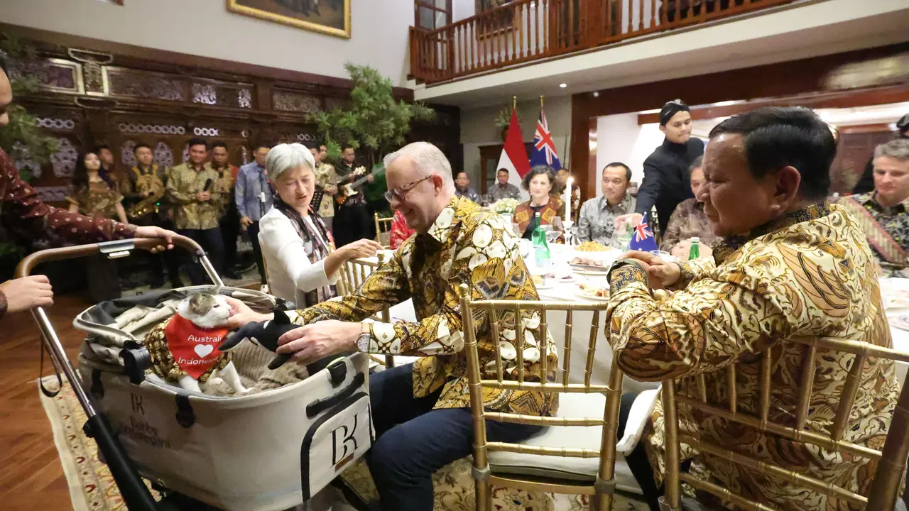 Perdana Menteri (PM) Australia Anthony Albanese memberikan hadiah untuk kucing Presiden Prabowo Subianto, Bobby Kertanegara.