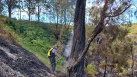 Petugas memadamkan titik api kebakaran di sekitar Bukit Kedaluh Kawasan Bromo pada Kamis, 8 Agustus 2024 (Dok BB TNBTS)&nbsp;