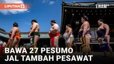 sumo