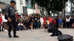 Satuan Polisi Satwa K9 bersama anjing pelacak khusus melakukan simulasi pendeteksian bahan peledak di area Car Free Day,Bundaran HI, Jakarta, Minggu, (16/2/2020). Simulasi untuk mengedukasi tentang cara kerja anjing pelacak saat menemukan bahan peledak yang disembunyikan. (Liputan6.com/Johan Tallo)