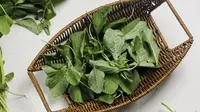 Ilustrasi sayur bayam/copyright shutterstock.com/Kristanti