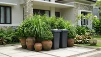 9 Cara Mencegah Belatung Bersarang di Tempat Sampah, Ampuh Kurangi Bau