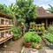 7 Desain Kandang Puyuh dan Kebun Mini di Belakang Rumah, Bikin Lahan Kosong Lebih Produktif