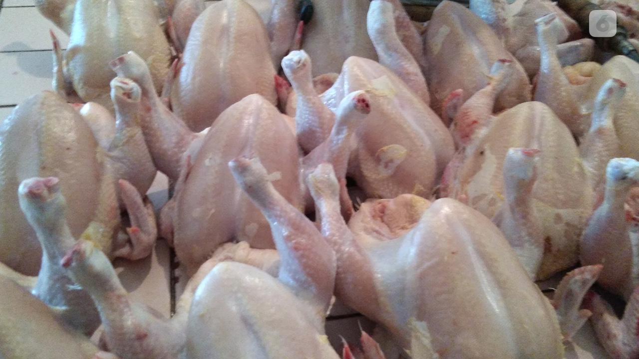 Daging ayam potong segar di Pasar Slipi