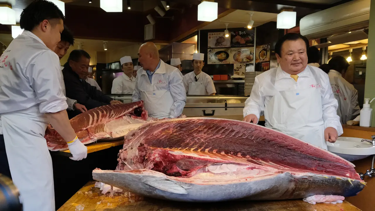 Lelang Ikan Tuna di Tokyo