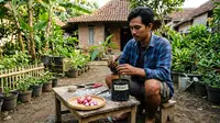 Cara Stek Alpukat dengan Bawang Merah agar Cepat Tumbuh, Ini Langkah-Langkahnya
