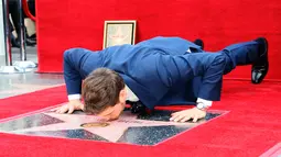Michael Buble mencium bintang Hollywood Walk Of Fame miliknya saat acara penghargaan di Hollywood, California (16/11). Penyanyi Jazz asal Kanada ini merupakan penerima bintang ke 2,650 di Hollywood Walk Of Fame. (AFP Photo/David Livingston)