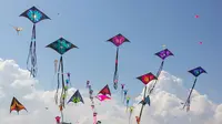  Sebentar lagi Pitik Kite Festival ke-7 akan digelar 1-2 Juli 2017, di Carik Abasan Sari Banjar Pitik Pedungan, Denpasar, Bali.