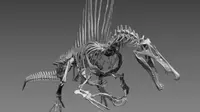 Dinosaurus aneh, setengah bebek, setengah buaya (University of Chicago, Fossil Lab (Screengrab))
