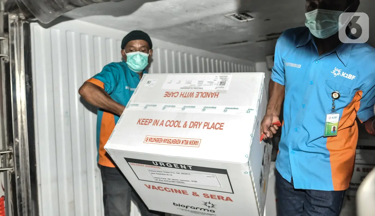 Petugas memindahkan dus berisi vaksin Covid-19 produksi Sinovac ke ruang penyimpanan di Kantor Dinas Kesehatan DKI Jakarta, Kamis (7/1/2021). Dinkes DKI pada tahap I telah menerima sebanyak 78.400 vaksin Covid-19 dari Sinovac yang diprioritaskan untuk tenaga kesehatan. (merdeka.com/Iqbal Nugroho)